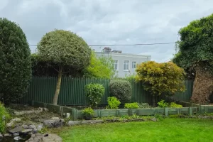 Tree and hedge trimming Limerick