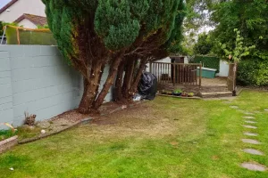 Westbury Limerick garden overhaul