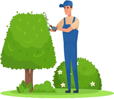 Limerick and Clare Garden Maintenance Service