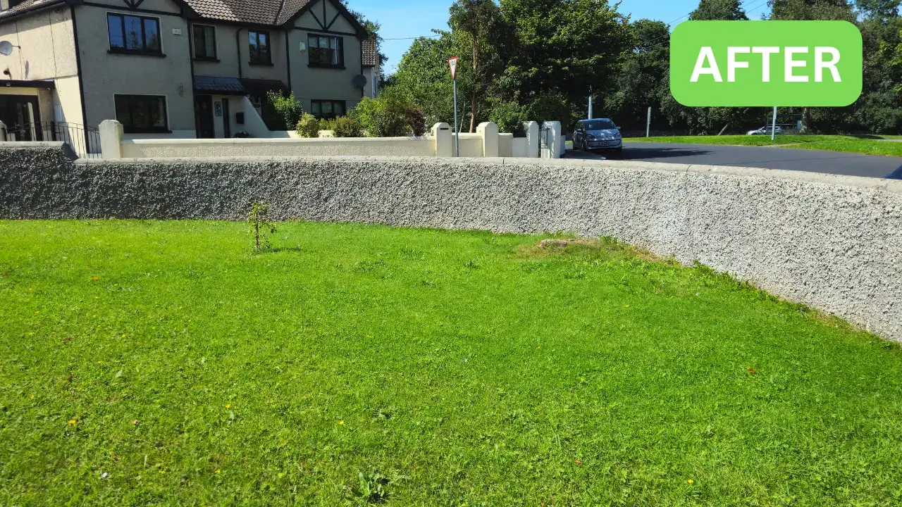 pressure wash garden wall exterior