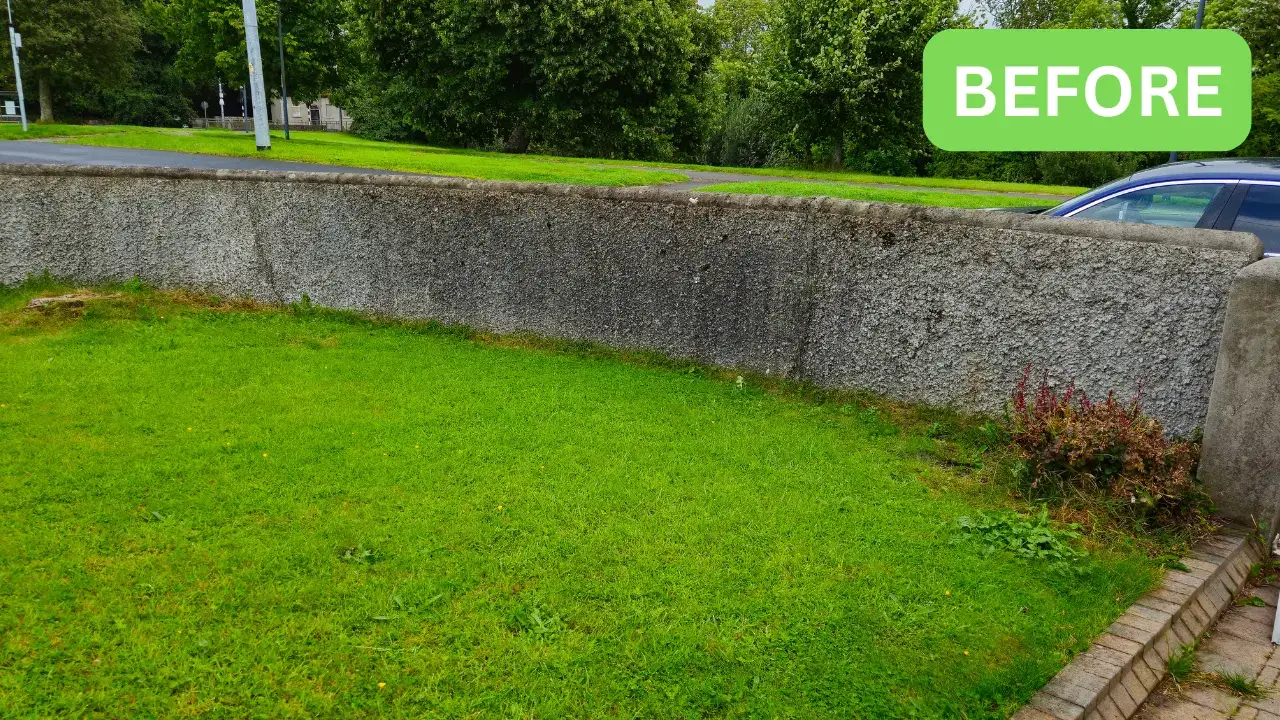 stained garden wall cleaning