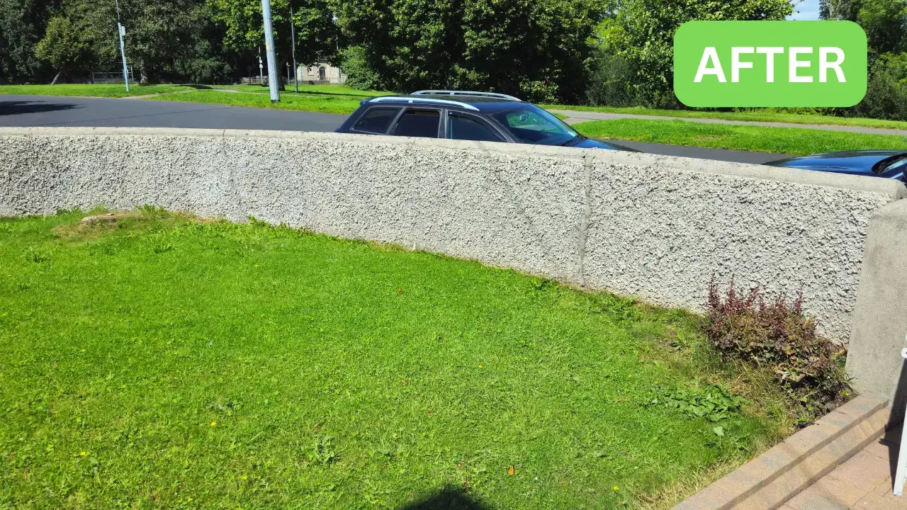 Garden wall cleaning job