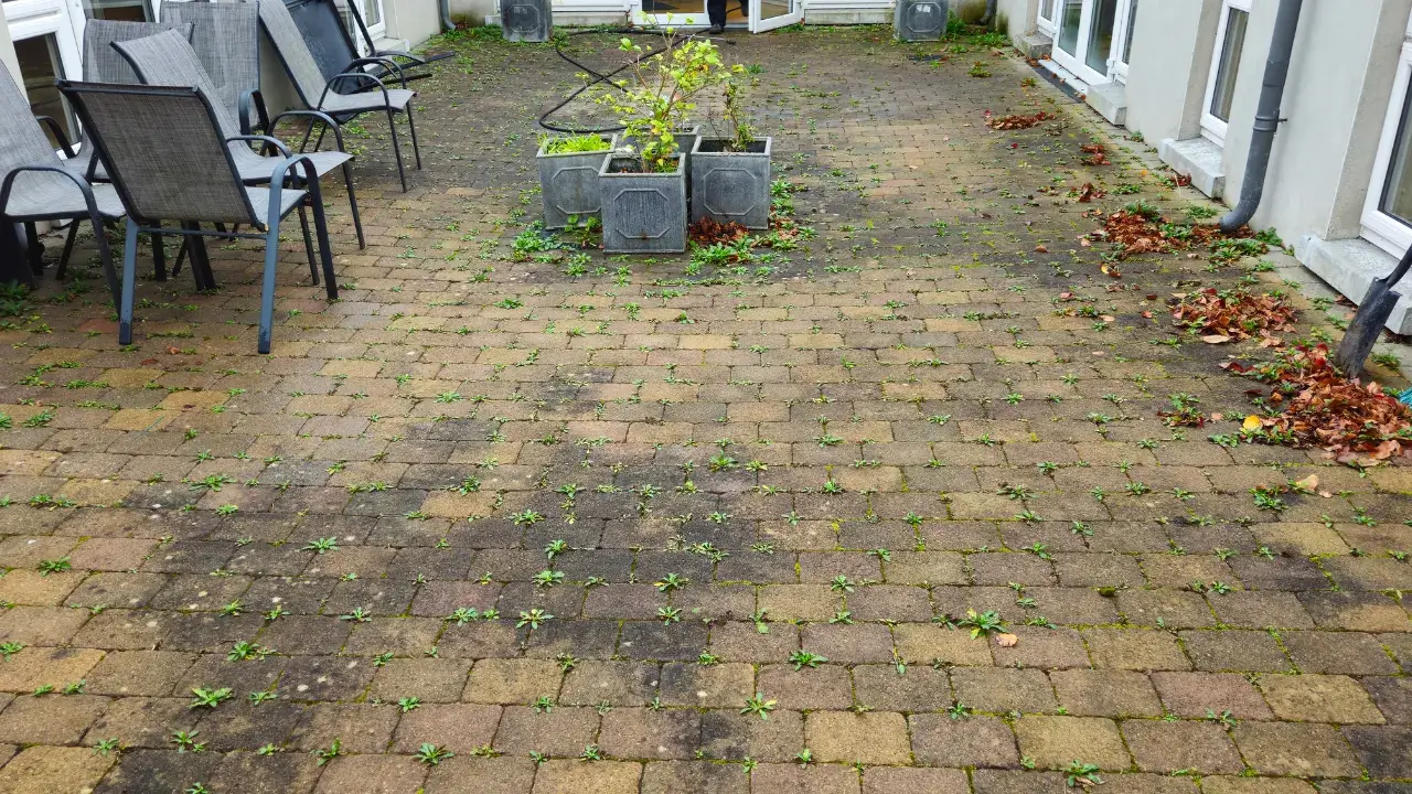 Patio Stain Removal Service
