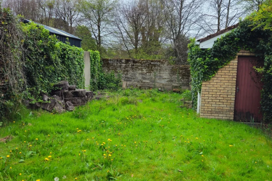 Cleaning out overgrown garden Limerick Ireland