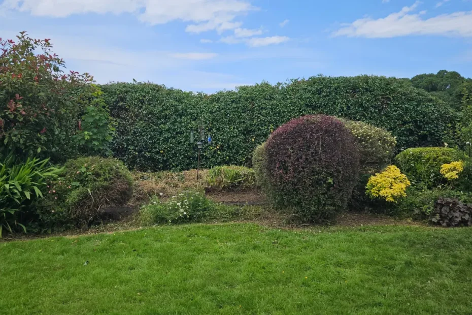 Grange Kilmallock Gardeners and gardening company