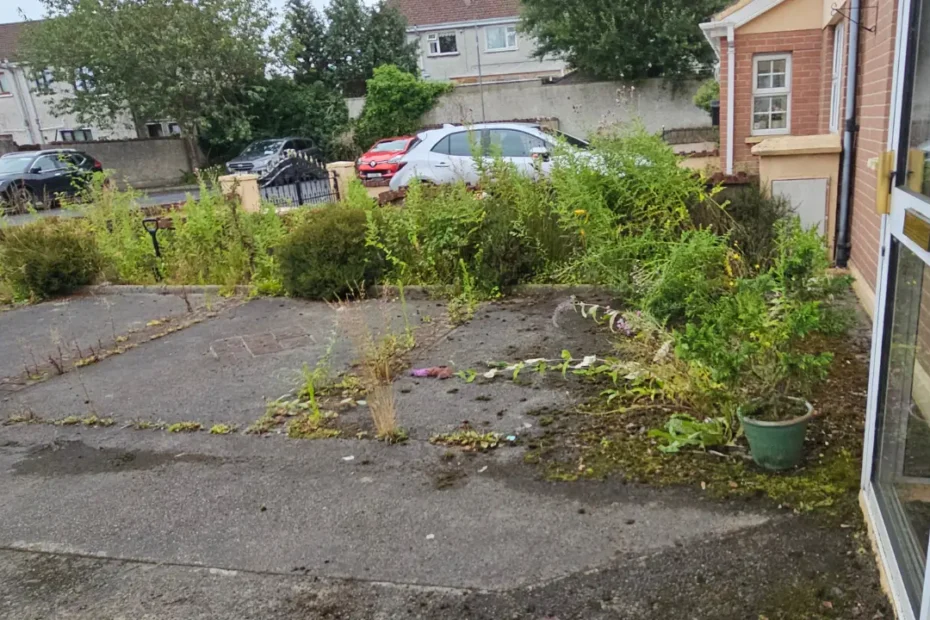 Castletroy Property Maintenance