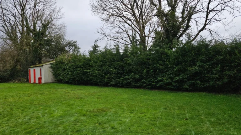 Tuamgraney Garden Maintenance