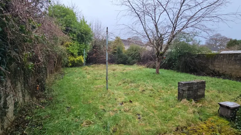 Garden clearance and maintenance North Circular Road, Limerick