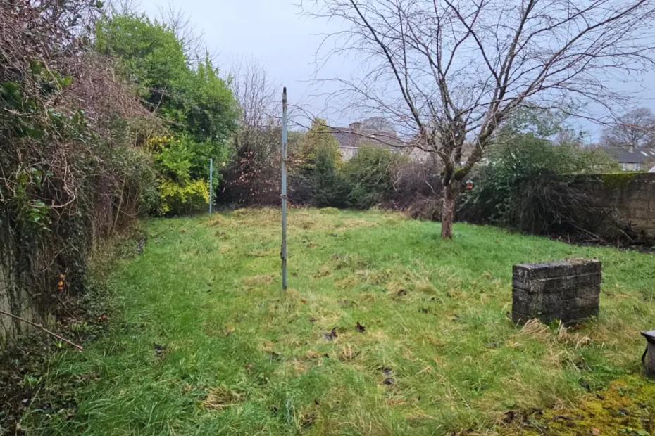 Garden clearance and maintenance North Circular Road, Limerick