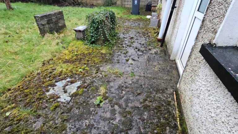 North Circular Road, Limerick Extensive Garden Clearance and Maintenance