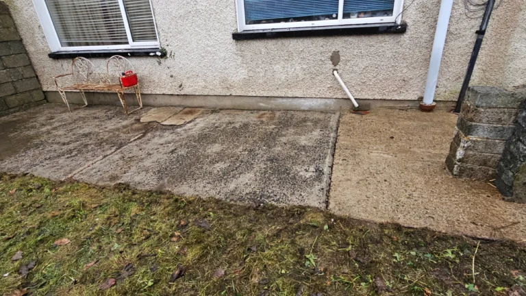 North Circular Road, Limerick Extensive Garden Clearance and Maintenance