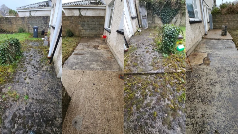 North Circular Road, Limerick Extensive Garden Clearance and Maintenance