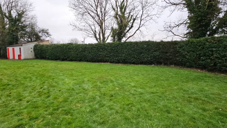 Tuamgraney Garden Maintenance