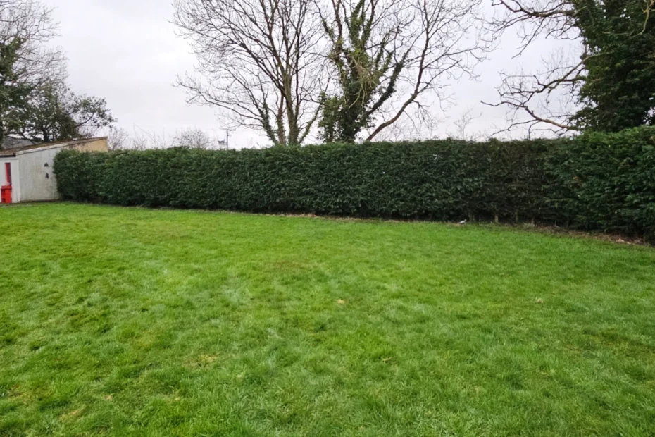 Tuamgraney Garden Maintenance