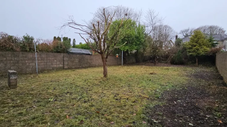 North Circular Road, Limerick Extensive Garden Clearance and Maintenance