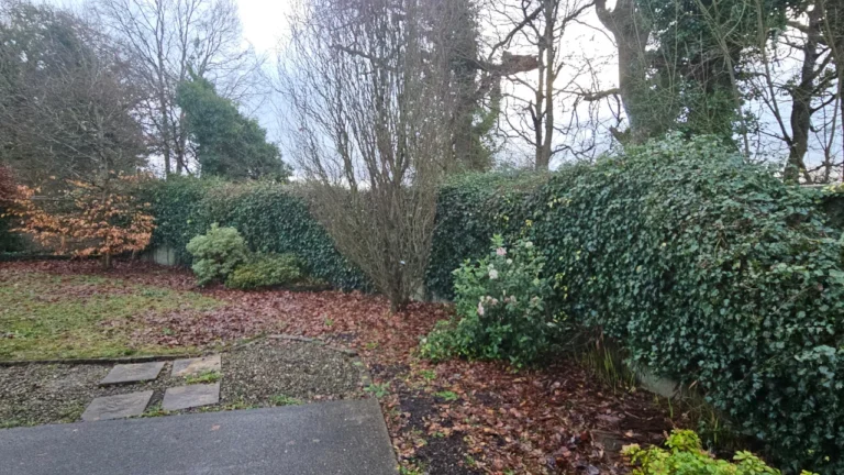 Castleconnell Garden Maintenance