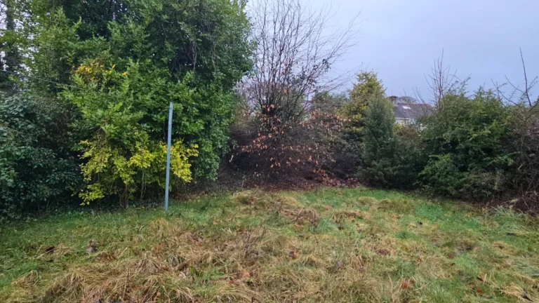 North Circular Road, Limerick Extensive Garden Clearance and Maintenance