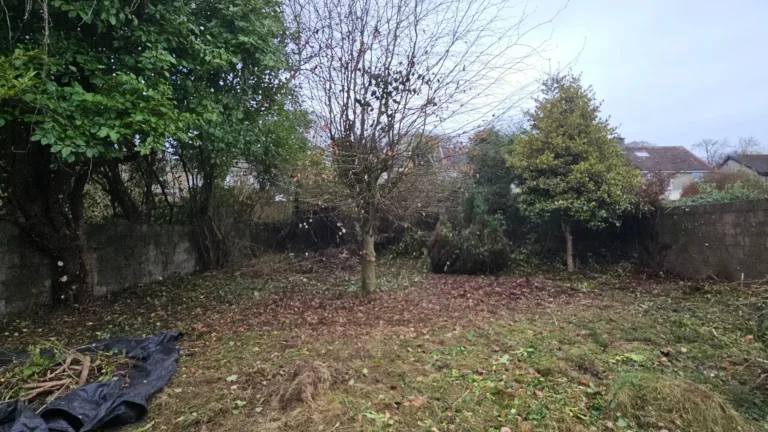 North Circular Road, Limerick Extensive Garden Clearance and Maintenance