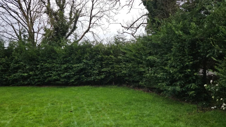 Tuamgraney Garden Maintenance