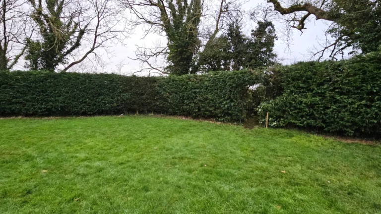 Tuamgraney Garden Maintenance