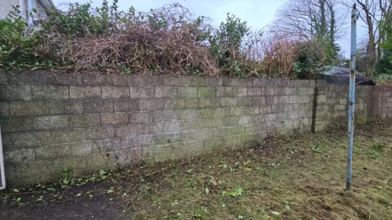 North Circular Road, Limerick Extensive Garden Clearance and Maintenance