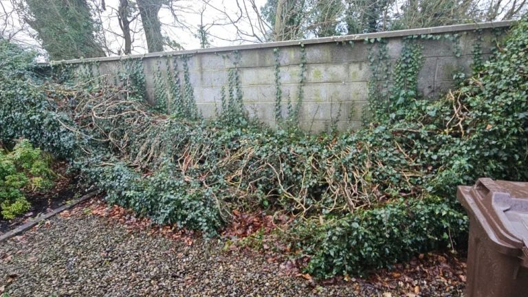 Castleconnell Garden Maintenance