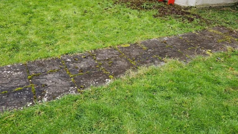 Tuamgraney Garden Maintenance