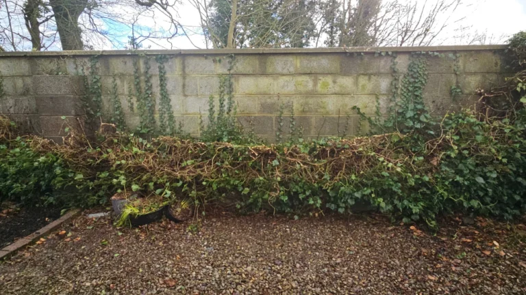 Castleconnell Garden Maintenance