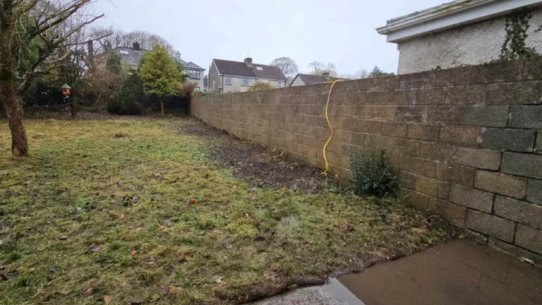 North Circular Road, Limerick Extensive Garden Clearance and Maintenance