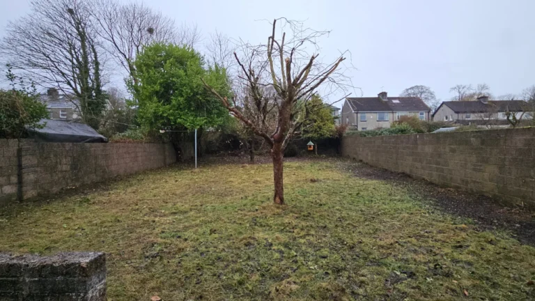 North Circular Road, Limerick Extensive Garden Clearance and Maintenance