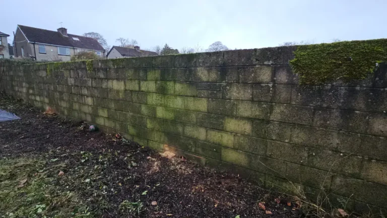 Green moss stained walls cleaned