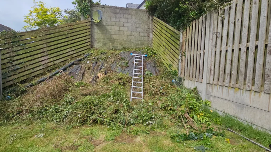 Fedamore Garden Maintenance and Clearance