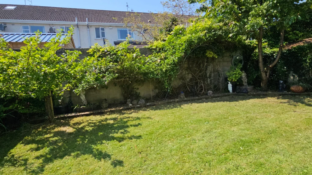 Annacotty Limerick Garden Maintenance