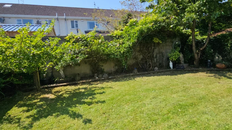 Annacotty Limerick Garden Maintenance