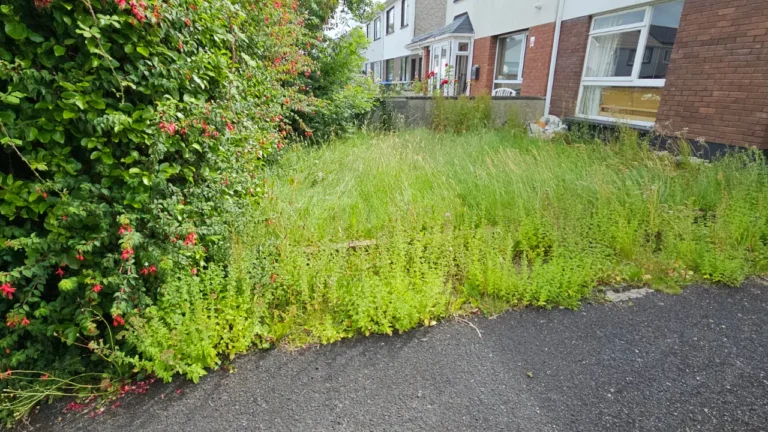 Shannon Banks Garden Clearance and Maintenance