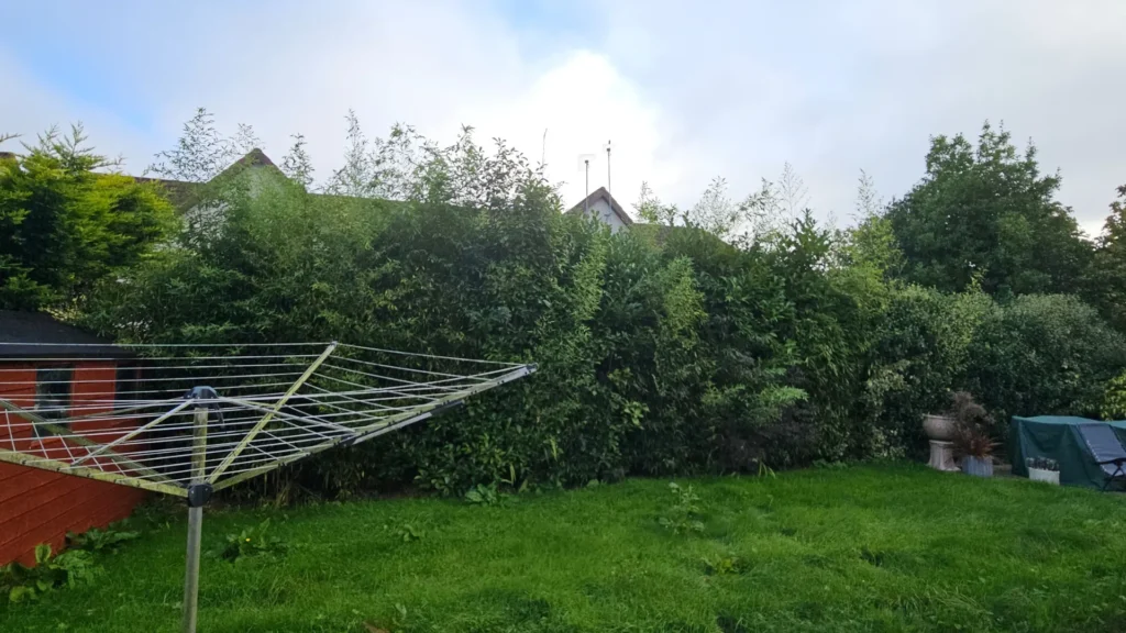 Castletroy Limerick Garden Maintenance and Pressure Washing Service